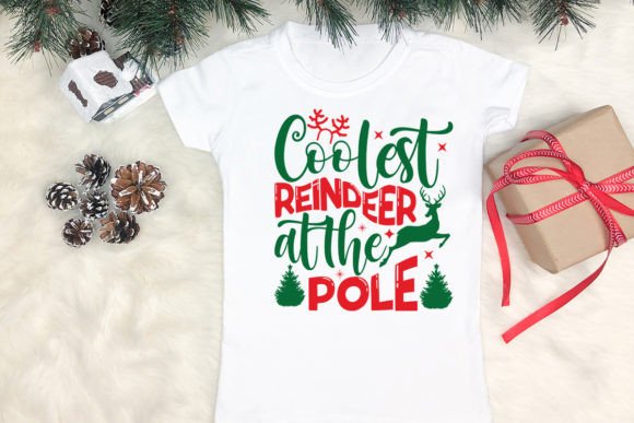 Coolest Reindeer at the Pole