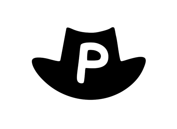 Review: Cowboy Hat with Playful Mono P